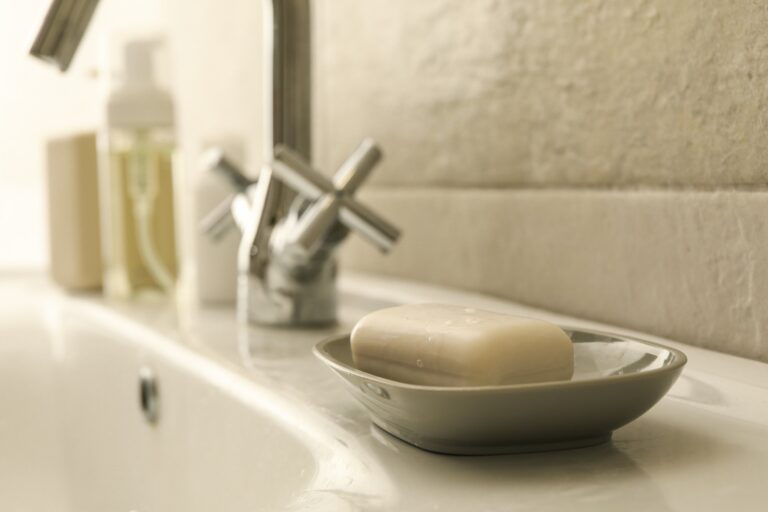 Soap dish with soap in bathroom sink